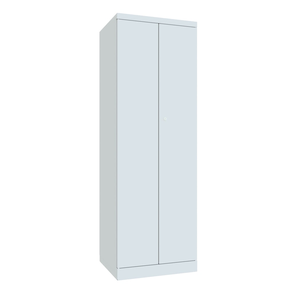 N° de l'image du produit 1 : Armoire à produits d’entretien PAVOY, H x l x P 1 800 x 500 x 600 mm, gris clair, gris clair