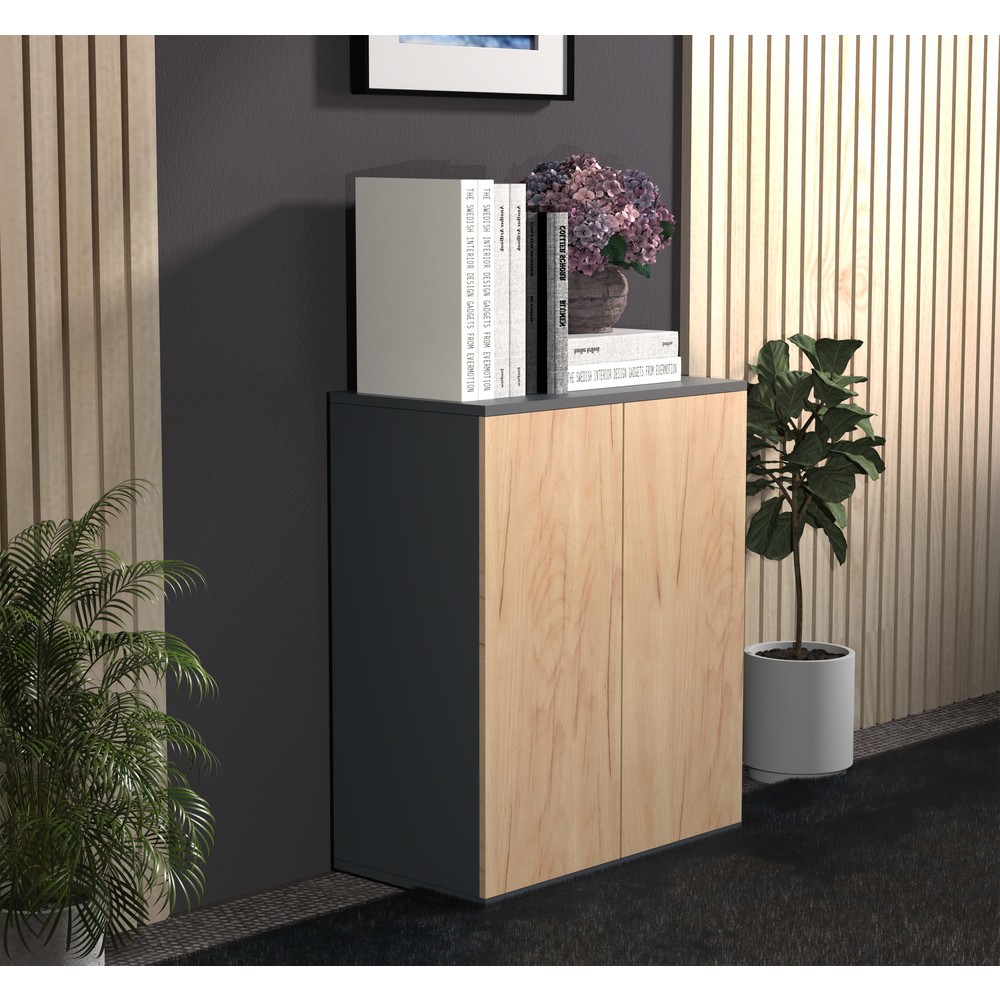 Numéro de l'image du produit 4: Armoire Dalosa 2 compartiments, chêne miel