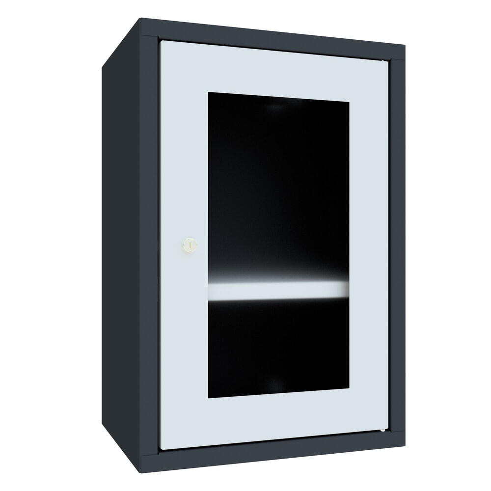 Numéro de l'image du produit 1: Armoire suspendue PAVOY avec regard, H x l x P 600 x 400 x 300 mm, gris clair, gris anthracite