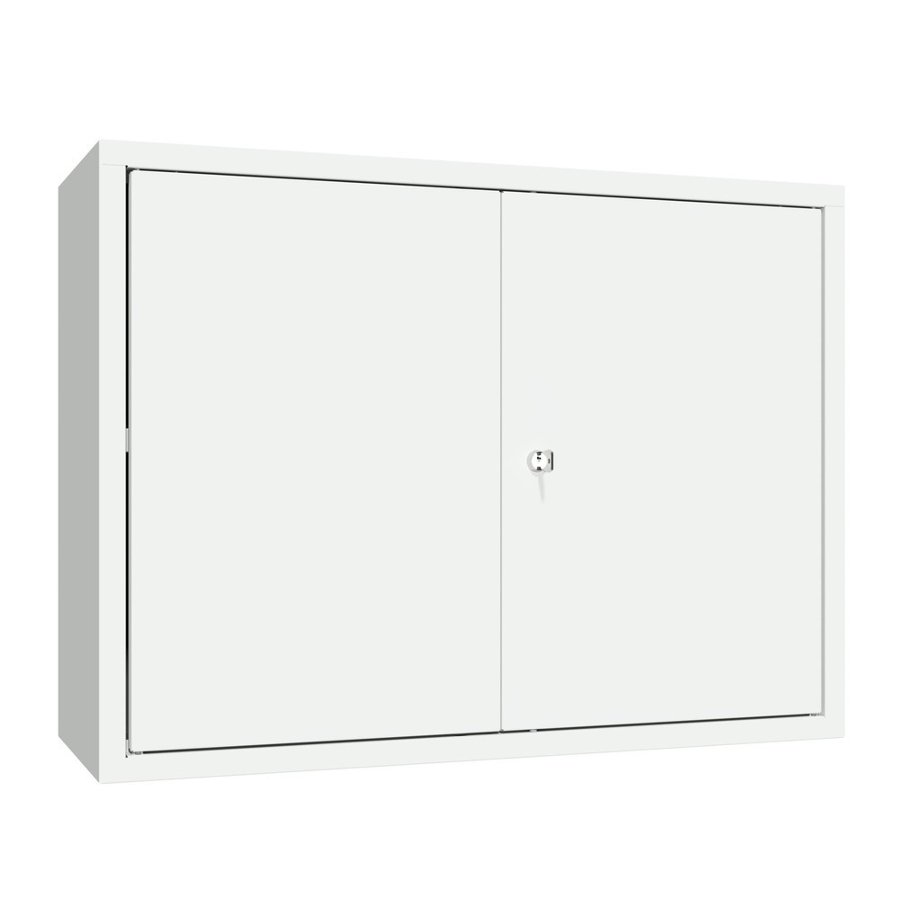 Numéro de l'image du produit 2: Armoire suspendue PAVOY, H x l x P 600 x 800 x 300 mm, gris clair, gris clair