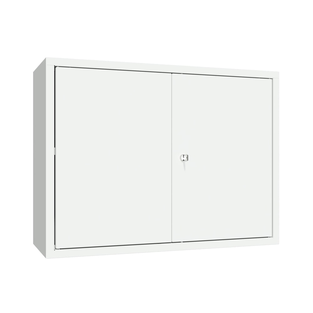 Numéro de l'image du produit 1: Armoire suspendue PAVOY, H x l x P 600 x 800 x 300 mm, gris clair, gris clair