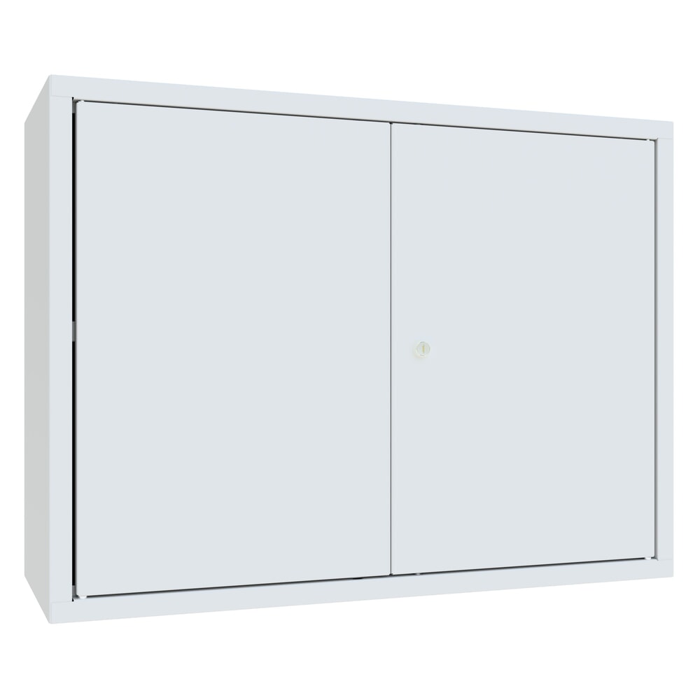 Numéro de l'image du produit 1: Armoire suspendue PAVOY, H x l x P 600 x 800 x 300 mm, paroi arrière perforée, gris clair, gris clair