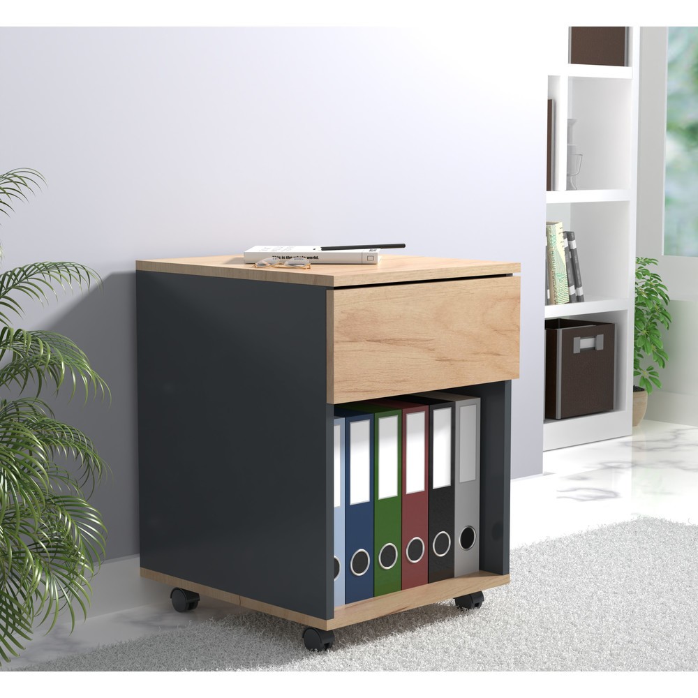 Numéro de l'image du produit 4: Caisson roulant Dalosa 45 1-SB, chêne miel