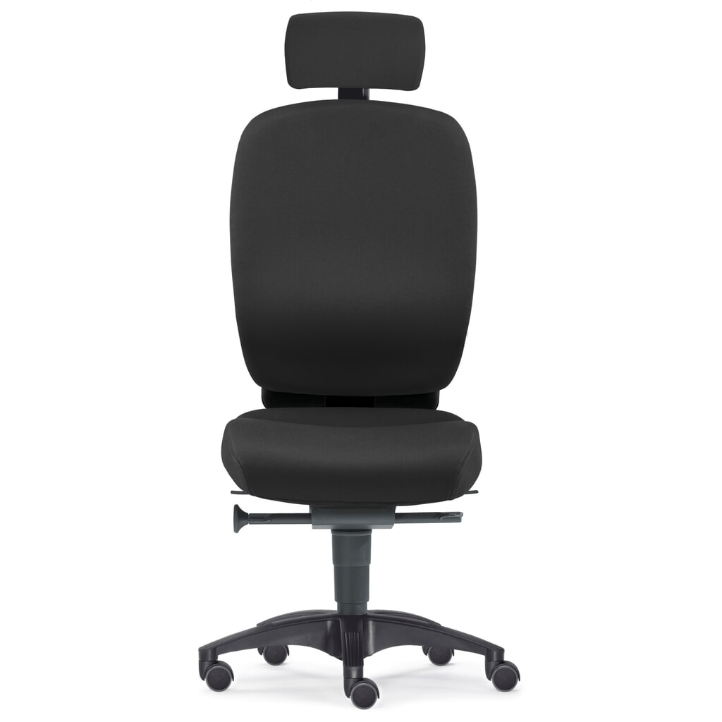 Illustration du produit: Chaise de bureau pivotante PROFI, chaise ergonomique, taille L, noir