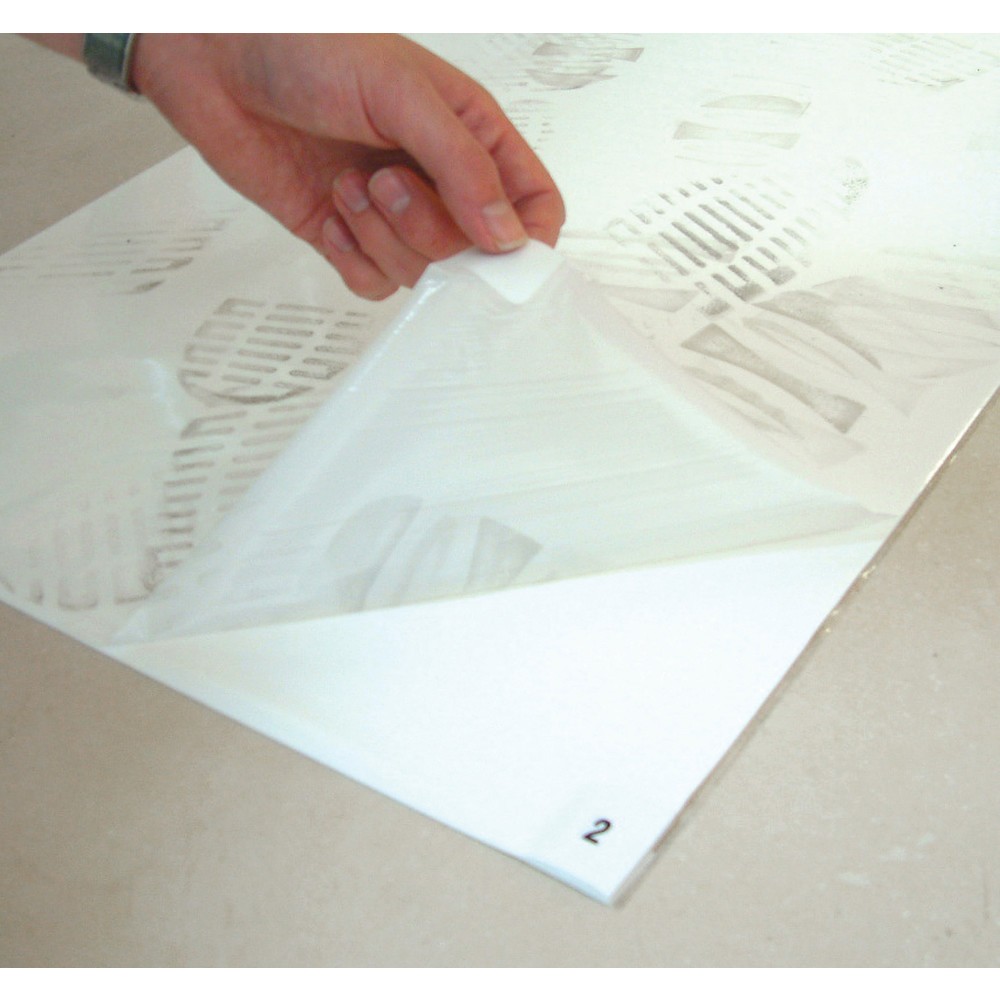 Numéro de l'image du produit 3: COBA Tapis adhésif antibactérien First Step, lxP 450 x 1 170 mm, blanc