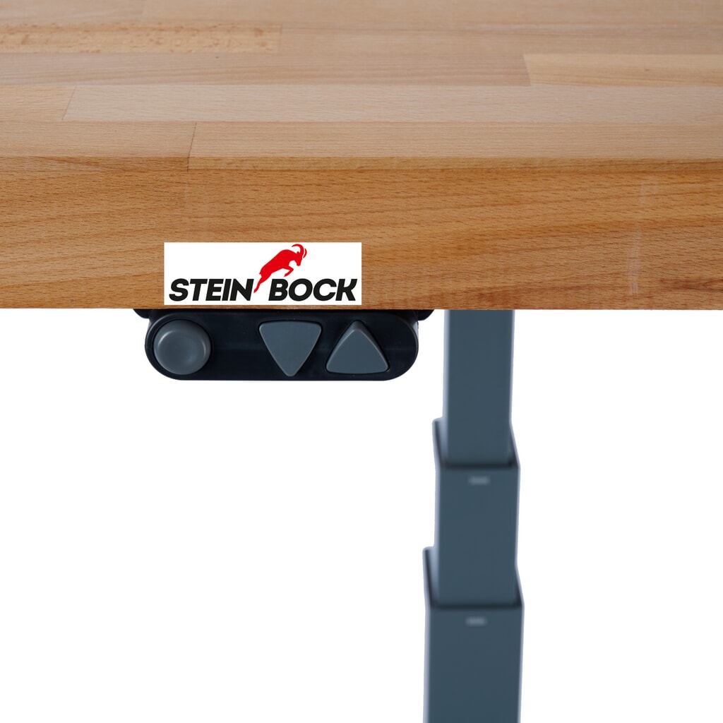 Établi électriquement réglable en hauteur e-Adjust Steinbock®, avec panneau perforé, H x l x p 700-1 170 x 2 000 x 750 mm, capacité de charge 350 kg N° de l'image du produit 3 : Établi électriquement réglable en hauteur e-Adjust Steinbock®, avec panneau perforé, H x l x p 700-1 170 x 2 000 x 750 mm, capacité de charge 350 kg