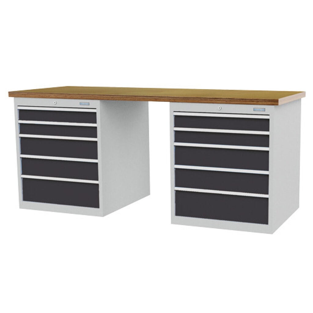 Établi en ligne R 24-24 Bedrunka+Hirth, H x l x P 859 x 2 000 x 750 mm, gris clair, bleu clair, 10 tiroirs 4 x 100 + 4 x 150 + 2 x 200 mm, largeur tiroirs 450 mm Illustration du produit: Établi en ligne R 24-24 Bedrunka+Hirth, H x l x P 859 x 2 000 x 750 mm, gris clair, bleu clair, 10 tiroirs 4 x 100 + 4 x 150 + 2 x 200 mm, largeur tiroirs 450 mm
