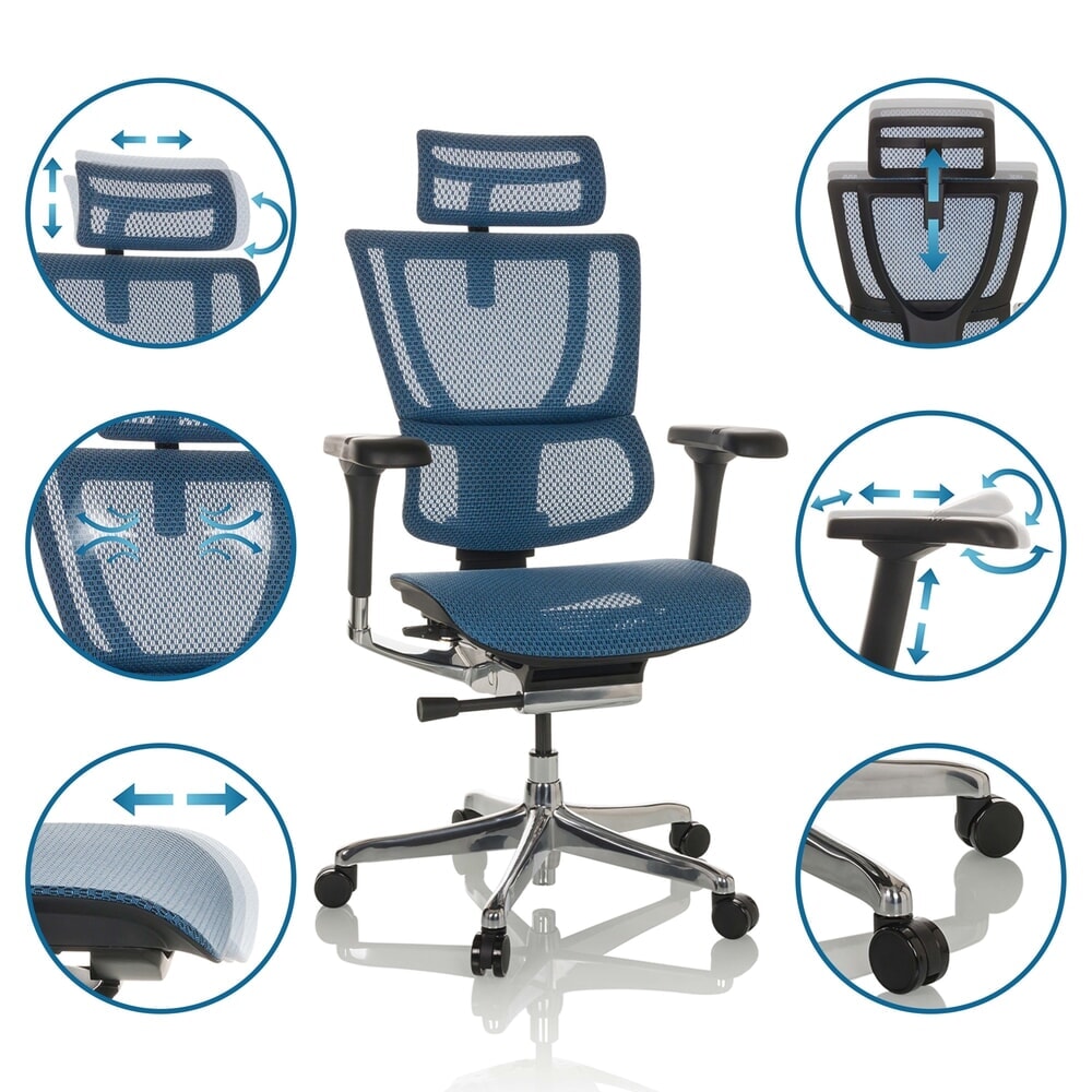 N° de l'image du produit 3 : Fauteuil de direction hjh OFFICE ERGOHUMAN SLIM GEN2, dossier flexible, capacité de charge 150 kg, bleu, accoudoir noir