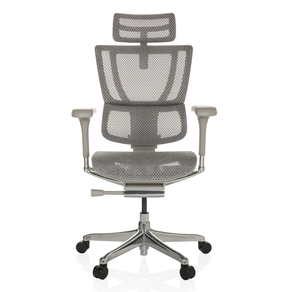 N° de l'image du produit 1 : Fauteuil de direction hjh OFFICE ERGOHUMAN SLIM G GEN2, avec dossier flexible, capacité de charge 150 kg, gris clair, accoudoir gris