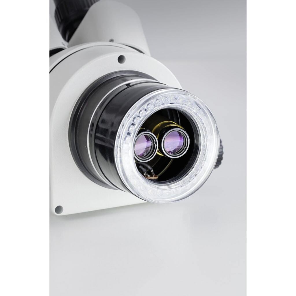 KERN Optics Microscope stéréo à zoom OZL 465 N° de l'image du produit 3 : KERN Optics Microscope stéréo à zoom OZL 465