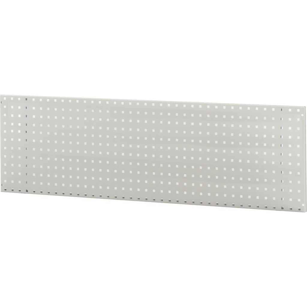 RAU Plaque perforée pour montage mural, HxlxP 450 x 1 000 x 15 mm Illustration du produit: RAU Plaque perforée pour montage mural, HxlxP 450 x 1 000 x 15 mm