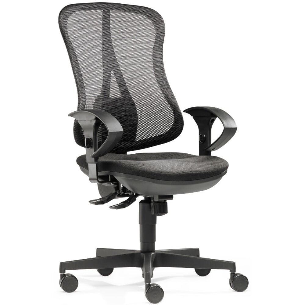 N° de l'image du produit 2 : Chaise de bureau pour disque intervertébral SITWELL STEIFENSAND Flash Net, mécanisme de synchronisation, Dossier résille, capacité de charge 110 kg