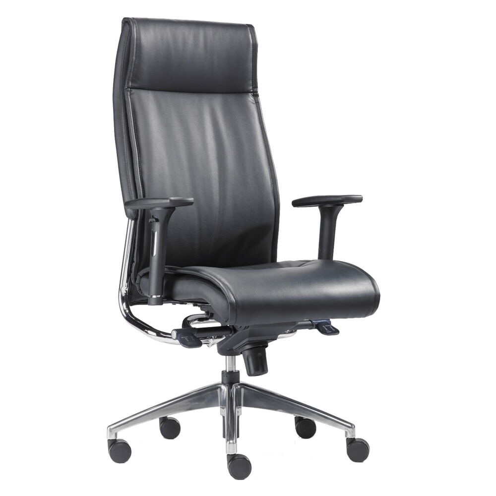 N° de l'image du produit 1 : Chaise de bureau SITWELL STEIFENSAND design Big Boss pour charge lourde, assise en cuir avec éléments chromés