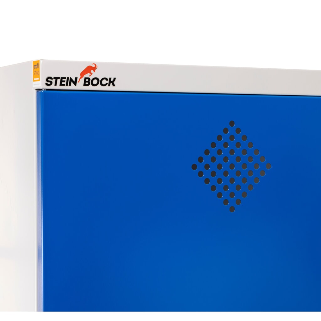 Armoire à produits chimiques Steinbock® , 4 bacs de rétention au sol selon StawaR, haut. x larg. x prof. 1 950 x 950 x 500 mm N° de l'image du produit 4 : Armoire à produits chimiques Steinbock® , 4 bacs de rétention au sol selon StawaR, haut. x larg. x prof. 1 950 x 950 x 500 mm