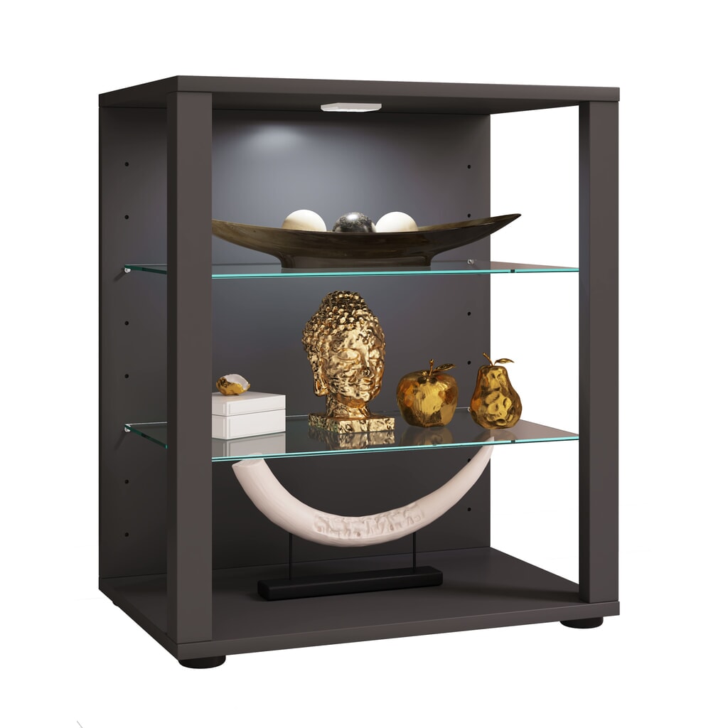 Illustration du produit: Vitrine VCM Glasol S, anthracite
