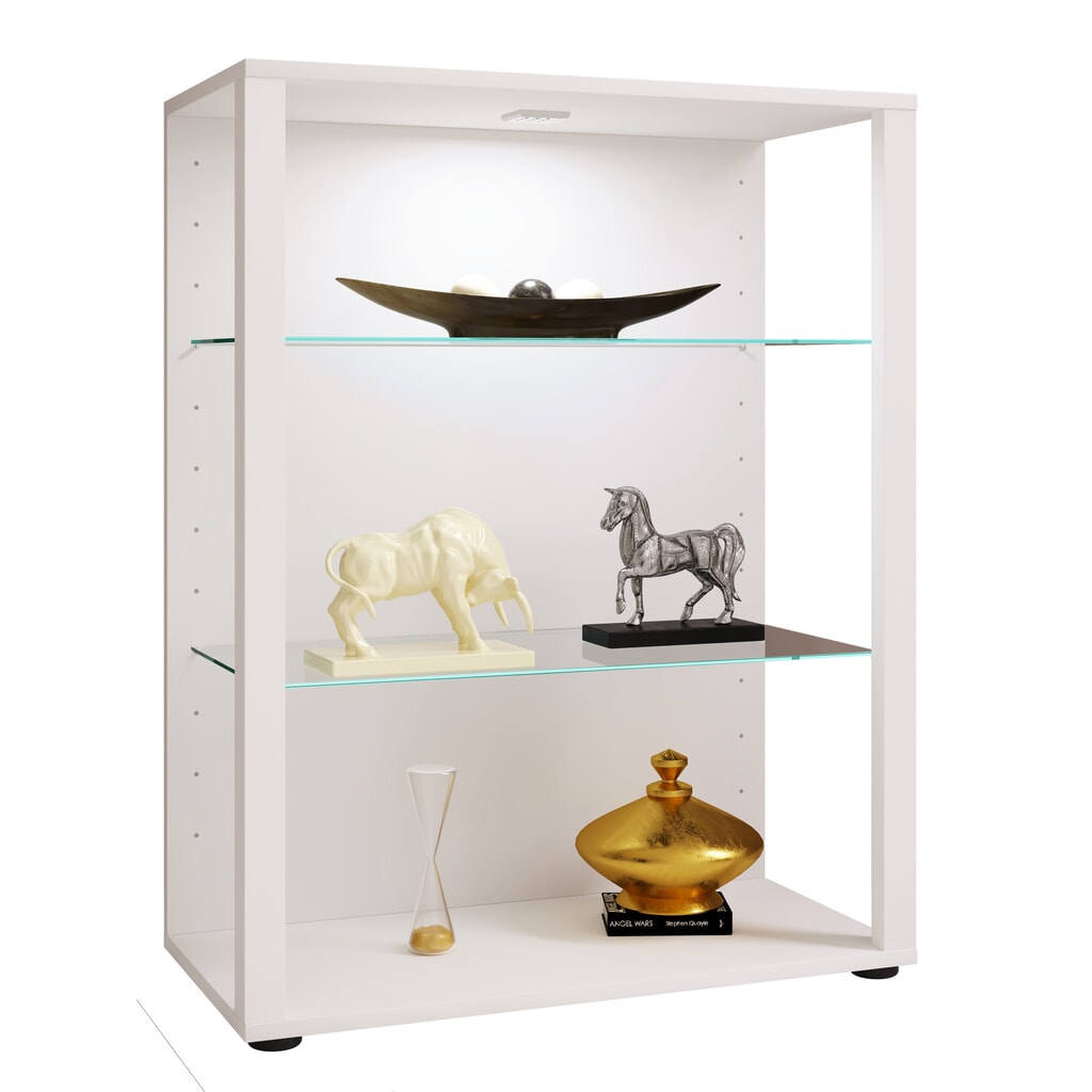 Vitrine Glasol XL