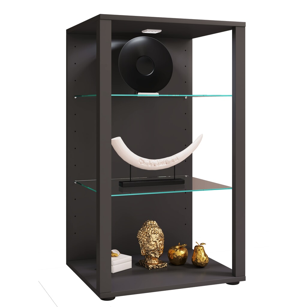 Illustration du produit: Vitrine VCM Glasol XXL, anthracite