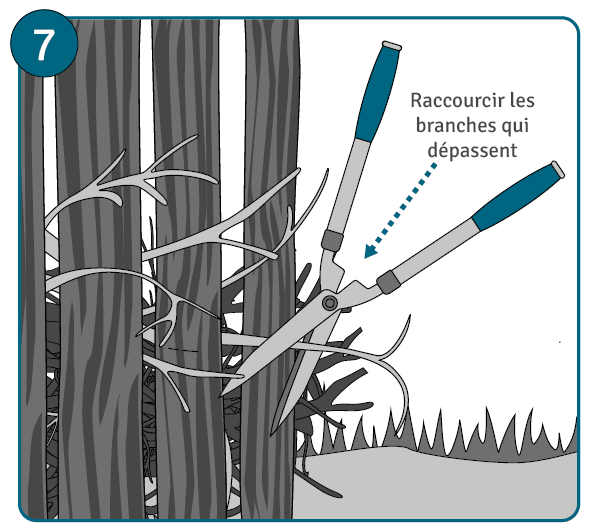Etape 7 : raccourcir les branches de la baie de Benjes