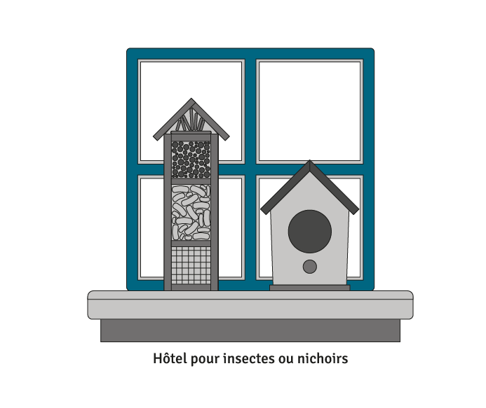 Représentation graphique d'une fenêtre vue de l'extérieur avec un nichoir et un abri pour insectes sur le rebord.